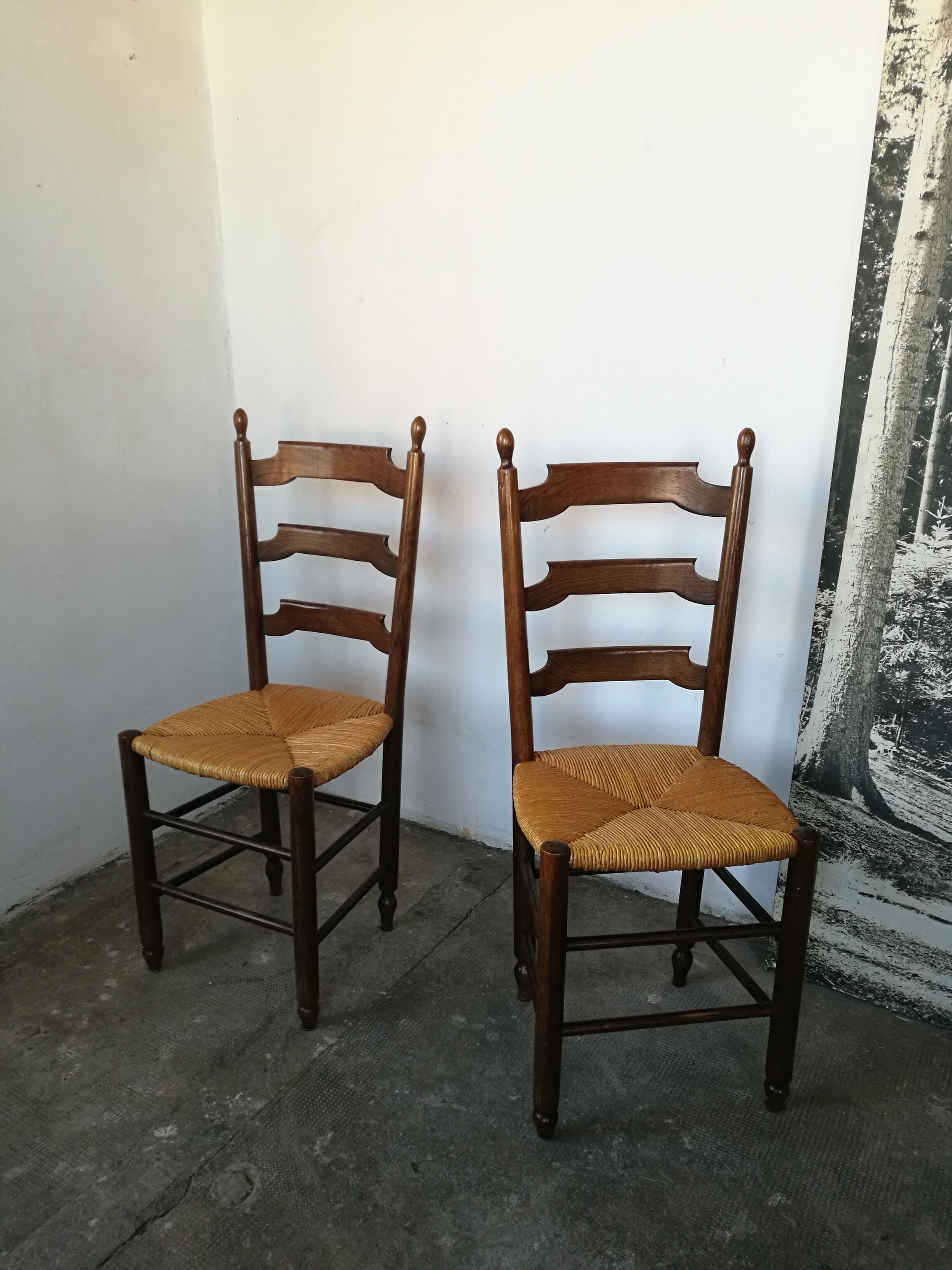 Paire de chaises paillées