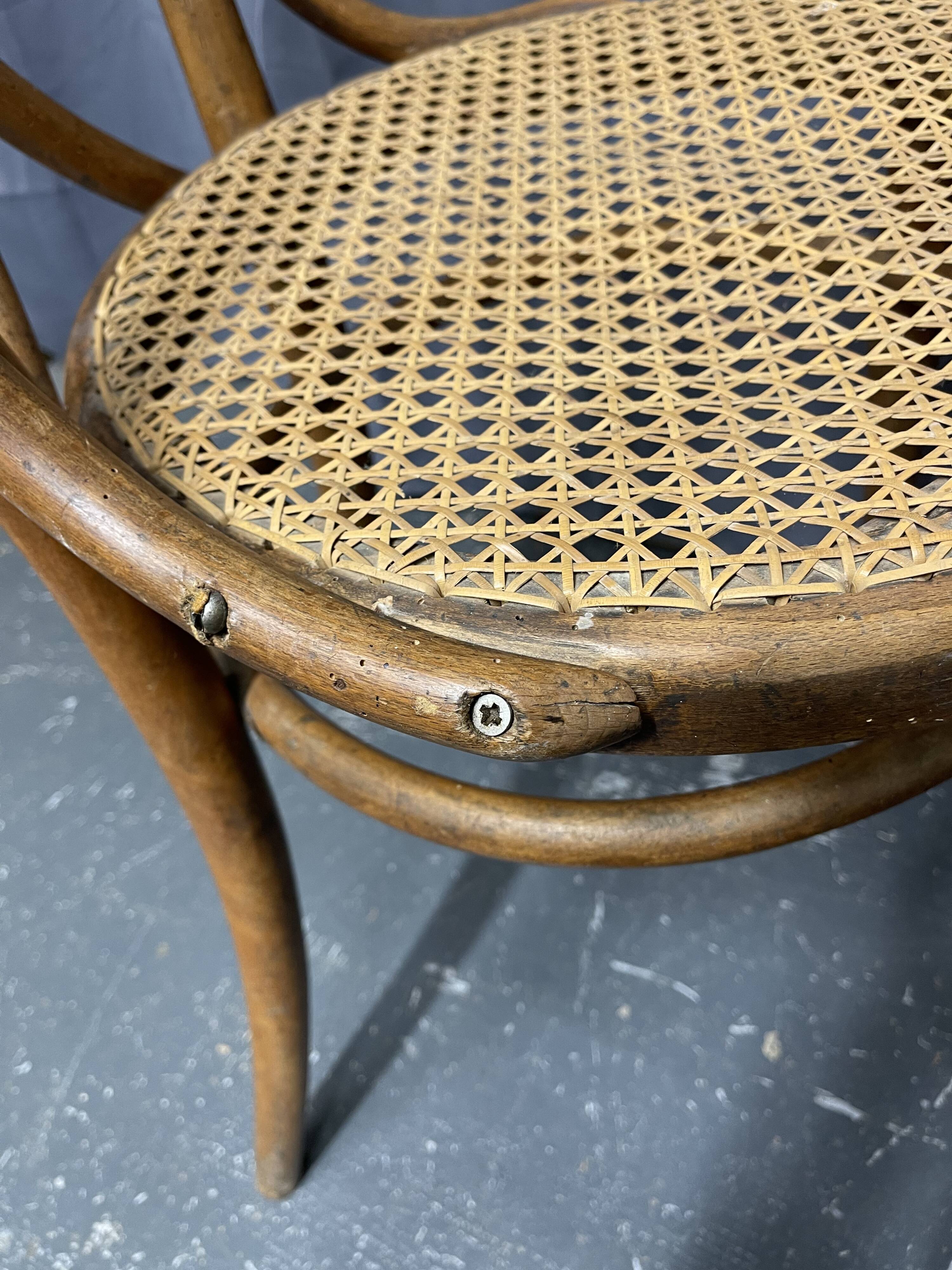 Paire de chaises Thonet n 19 estampillées thonet