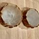 Paire d'appliques design scandinave 1950.