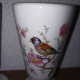 Mazagrans bird