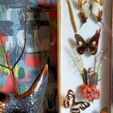 Cadre-vitrine aux papillons et fleurs séchées