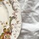 6 polychrome ironstone dinner plates "Wentworth" by Emile Bourgeois