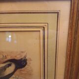 Lot 2 aquarelles oiseaux anciennes