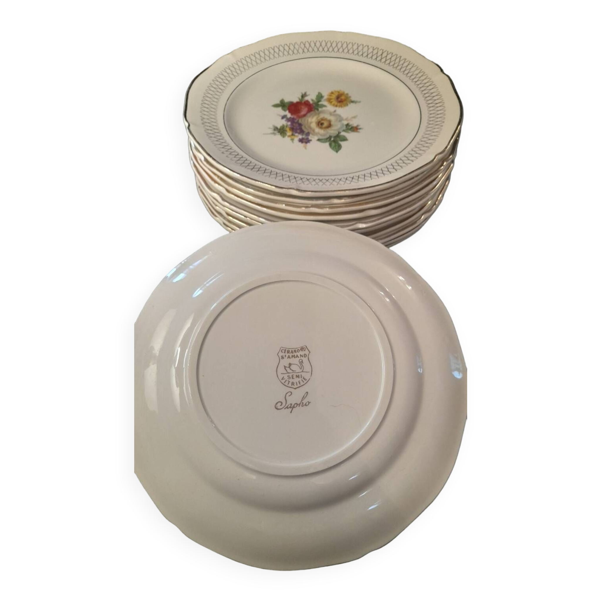 Set of 11 Ceranor St Amand Semi Vitrified Sapho plates