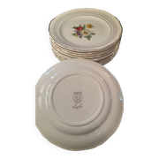 Set of 11 Ceranor St Amand Semi Vitrified Sapho plates