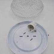 Ceiling light