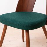 Set of 10 Mid Century Dining Chairs by A. Šuman, Reupholstery Options