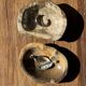 Dark beige oval petrified wood bowl 25x19 - 3782
