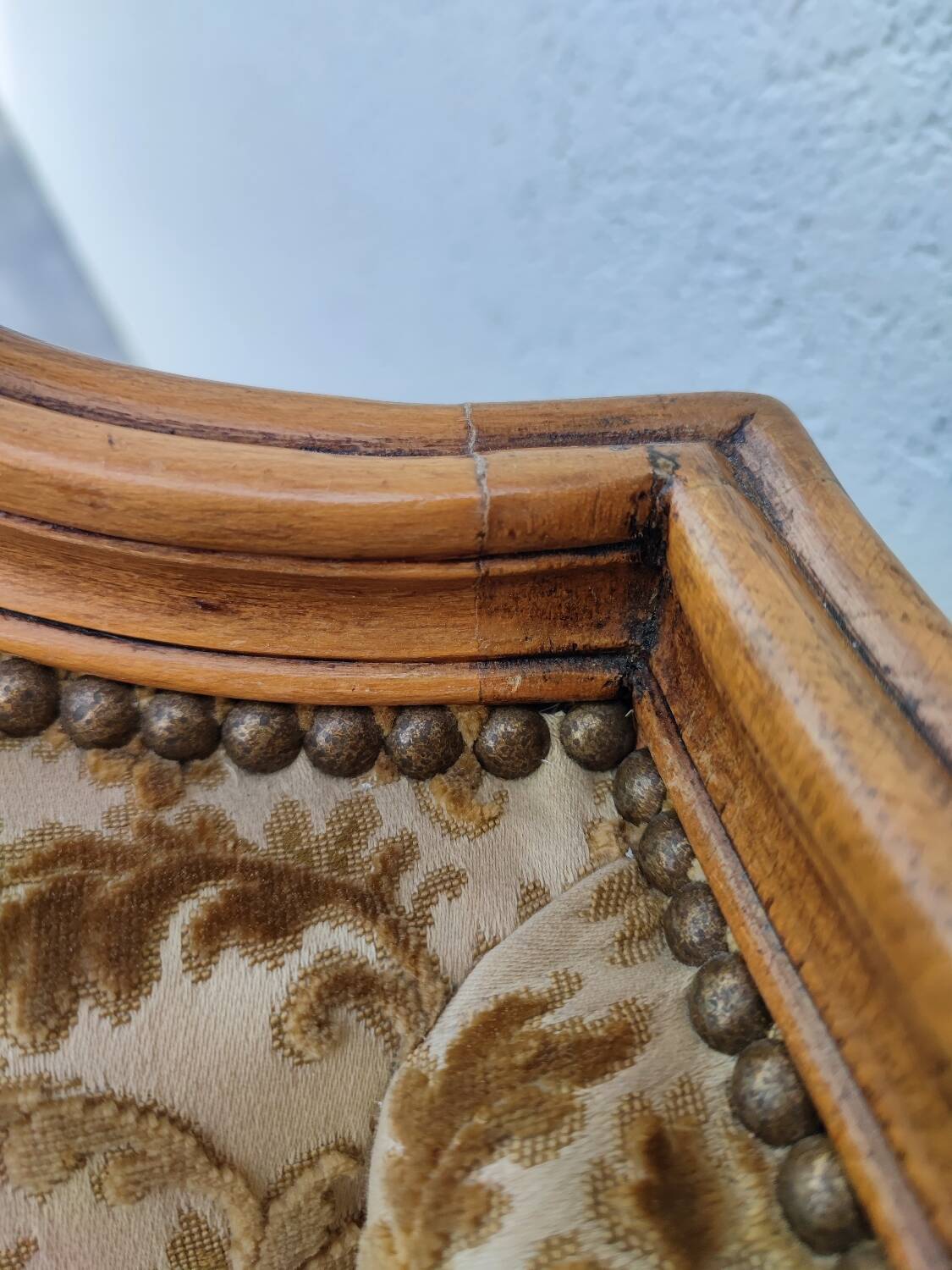 Large shepherdess with ears