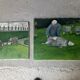 Peinture naïve 2