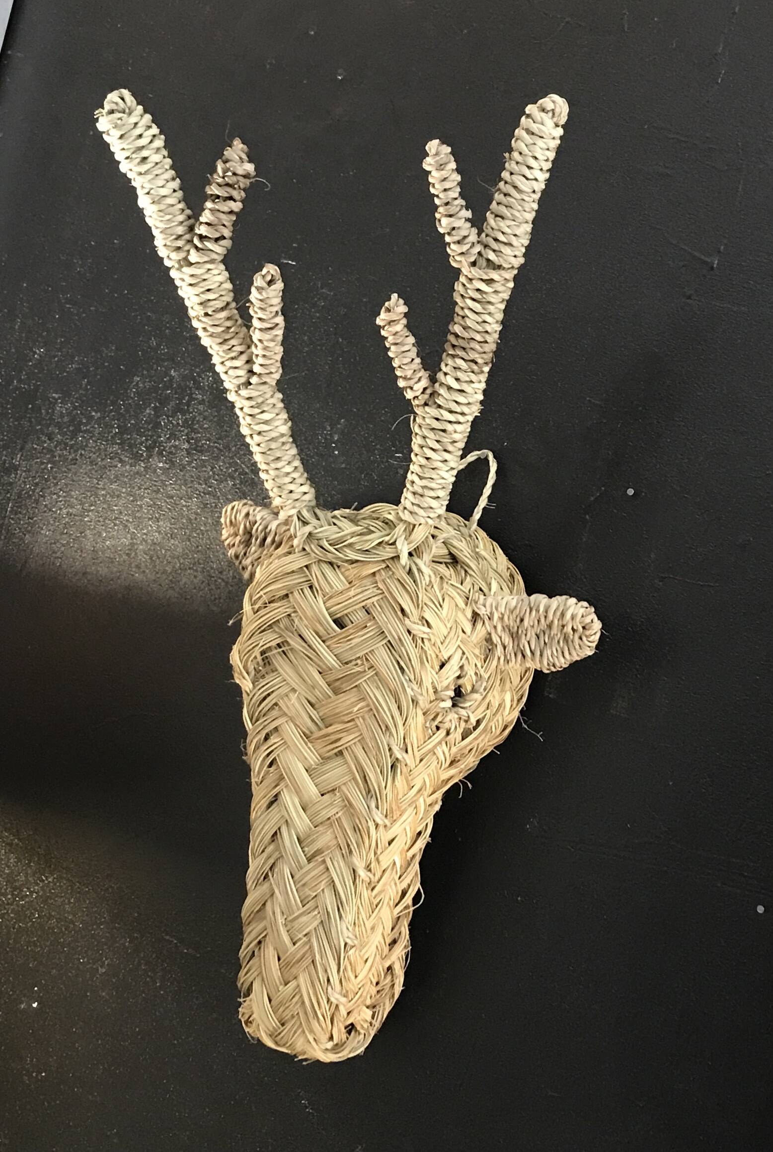 Braided alpha reindeer or deer head Morocco