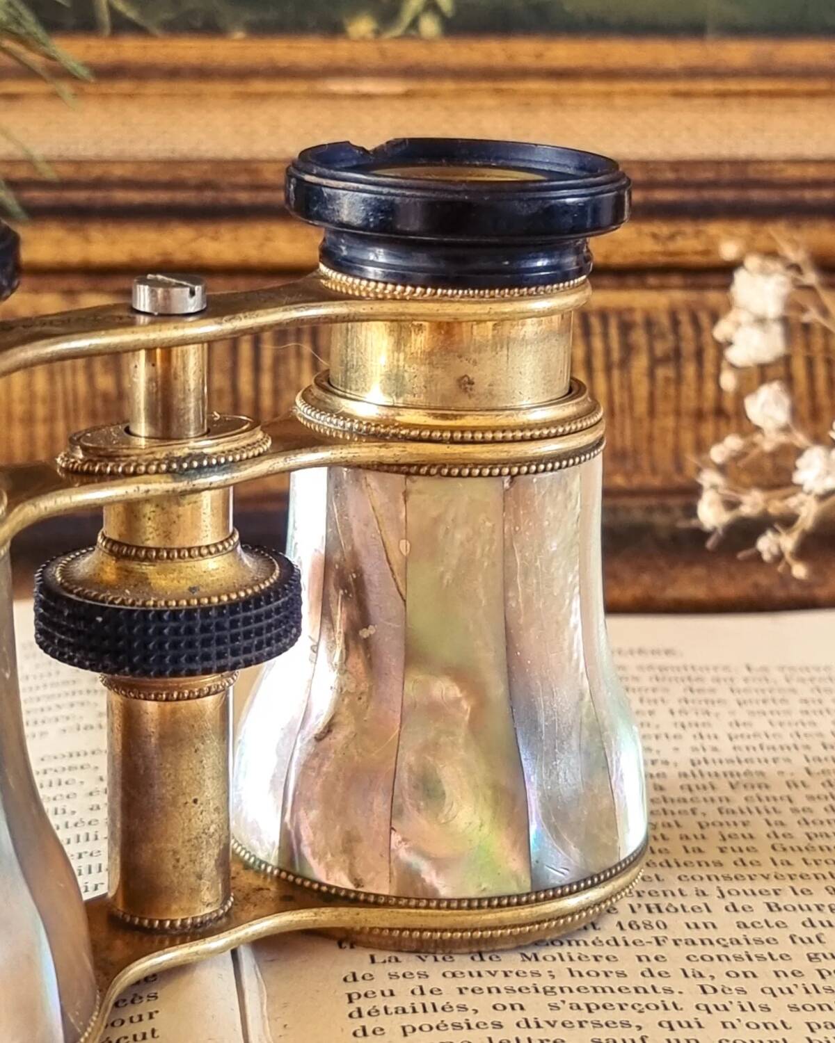 Theater binoculars in mother-of-pearl and brass, 19th century