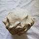 Beethoven bust by Nannini