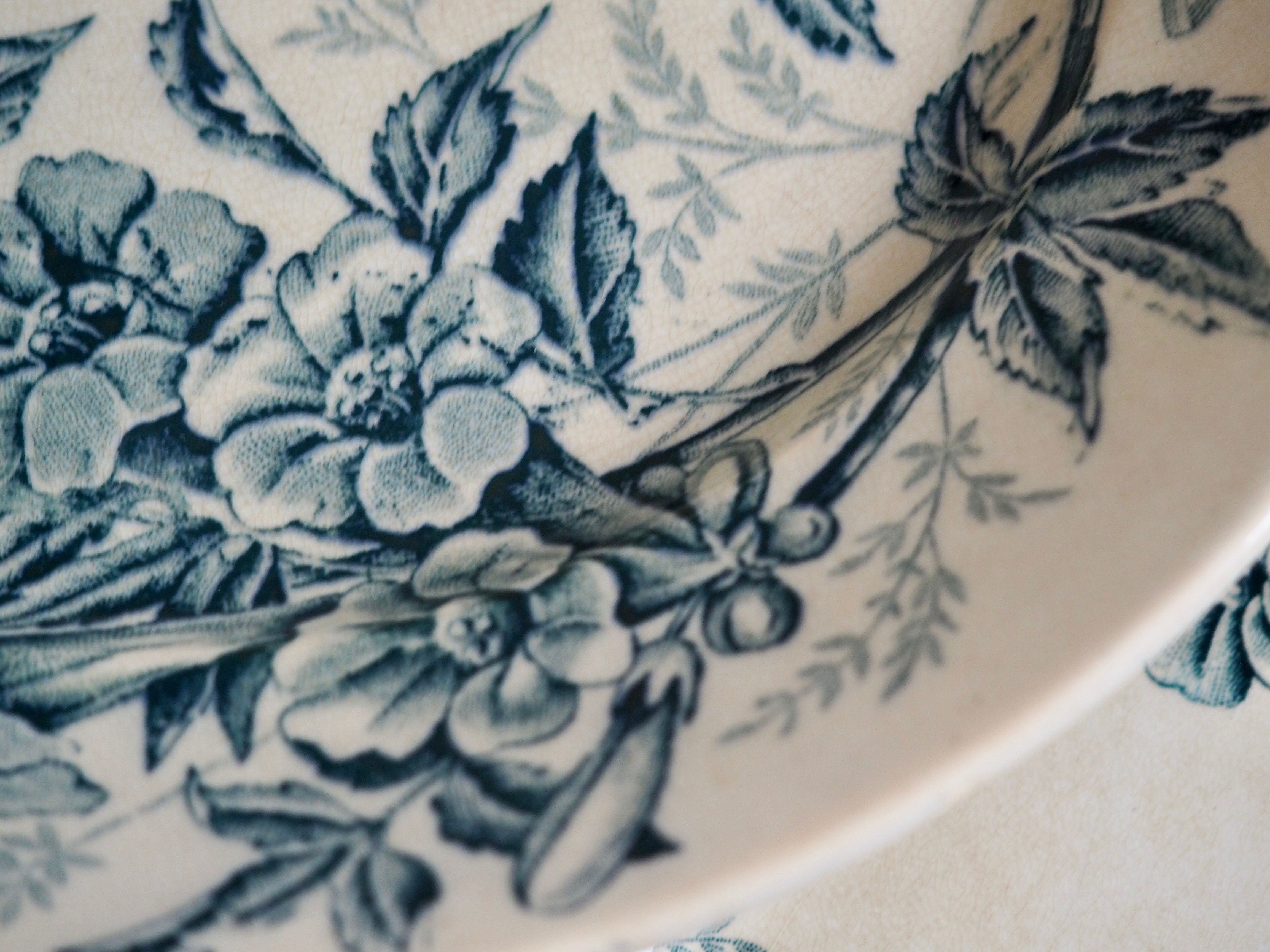 Old Badonviller Plates