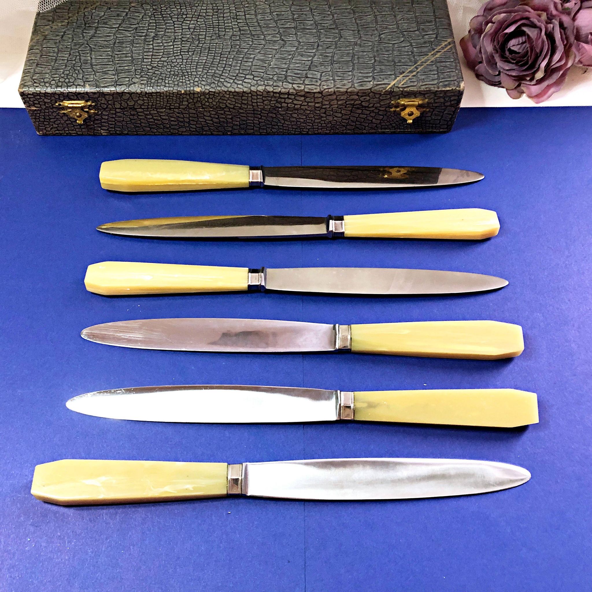 Coffret de 6 couteaux de table manche bakélite France début XXe
