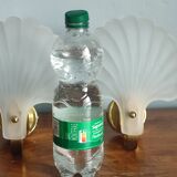 Vintage frosted glass shell wall sconces