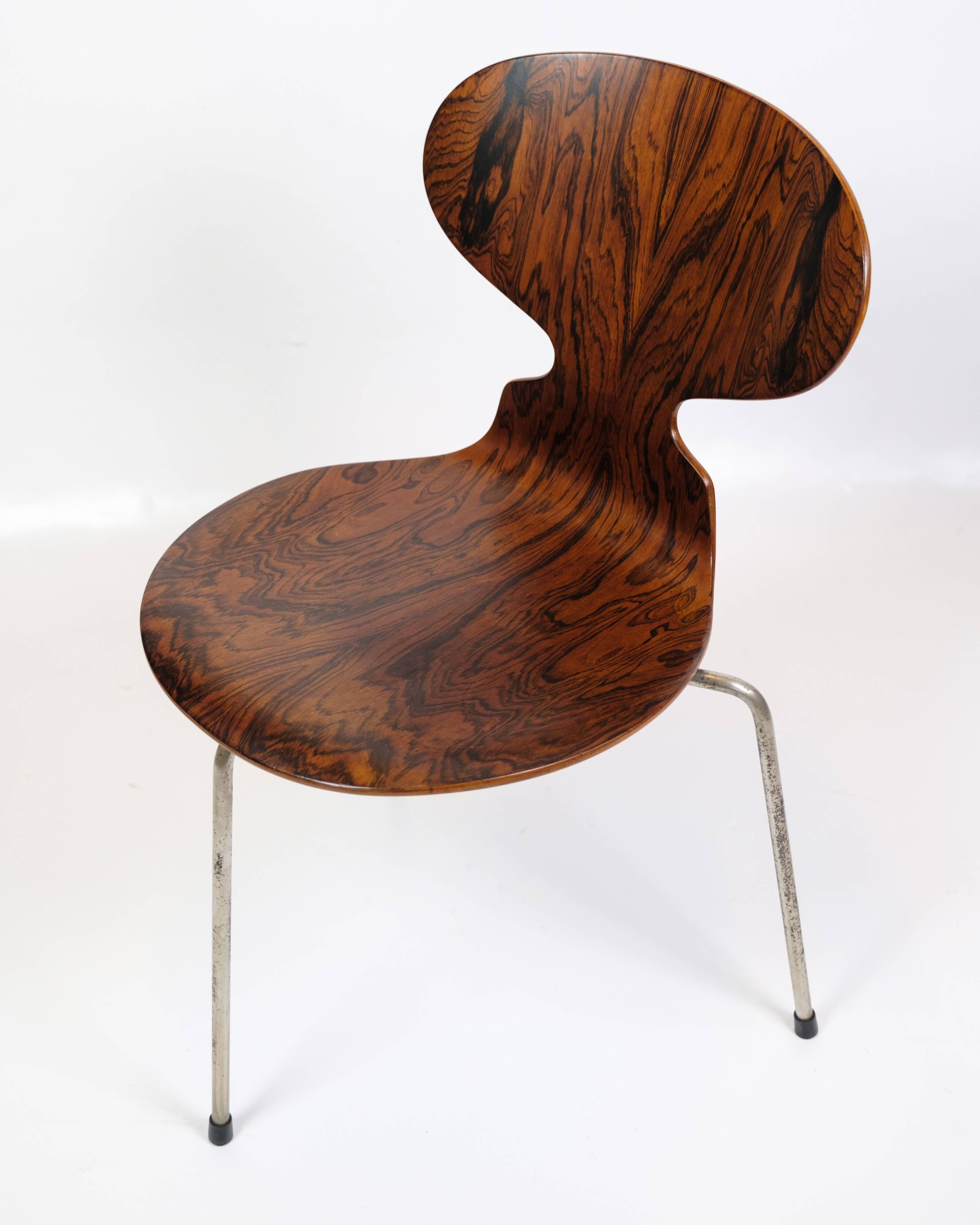 Set Of 6 Ant Chairs Model 3101 Made In Rosewood By Arne Jacobsen For Fritz Hansen From 1950s
