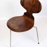 Lot de 6 chaises Ant modèle 3101 fabriquées en palissandre par Arne Jacobsen pour Fritz Hansen des années 1950