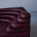 Terrazza Landscapes in Burgundy Leather by Ubald Klug for de Sede, 1970s, Set of 4