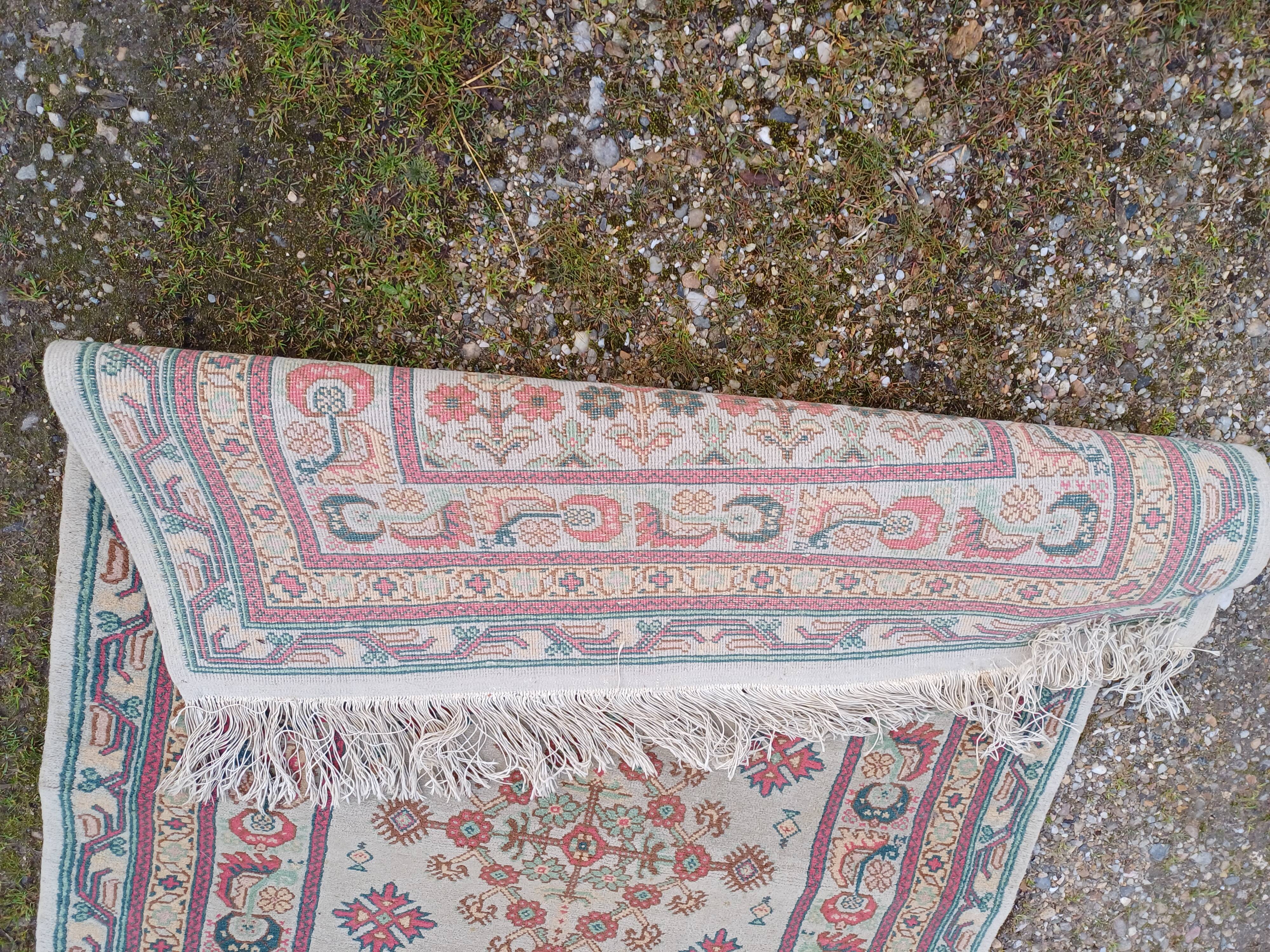 Hand-knotted wool oriental rug