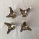 Vintage stainless steel shell 4 available letang and remy