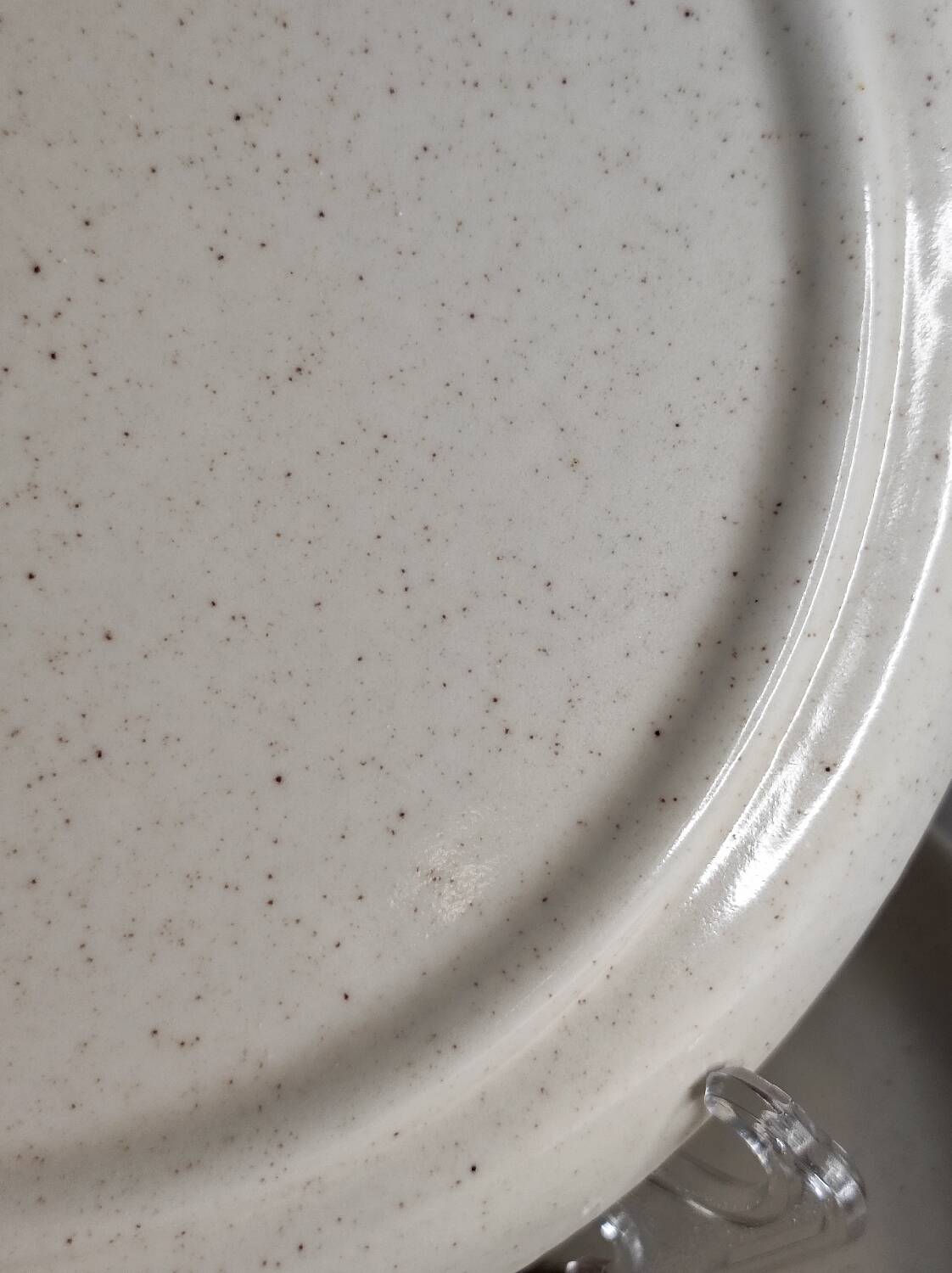 Speckled stoneware dinner plates