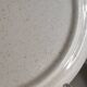 Speckled stoneware dinner plates
