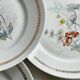 4 Vierzon Limoges porcelain plates.