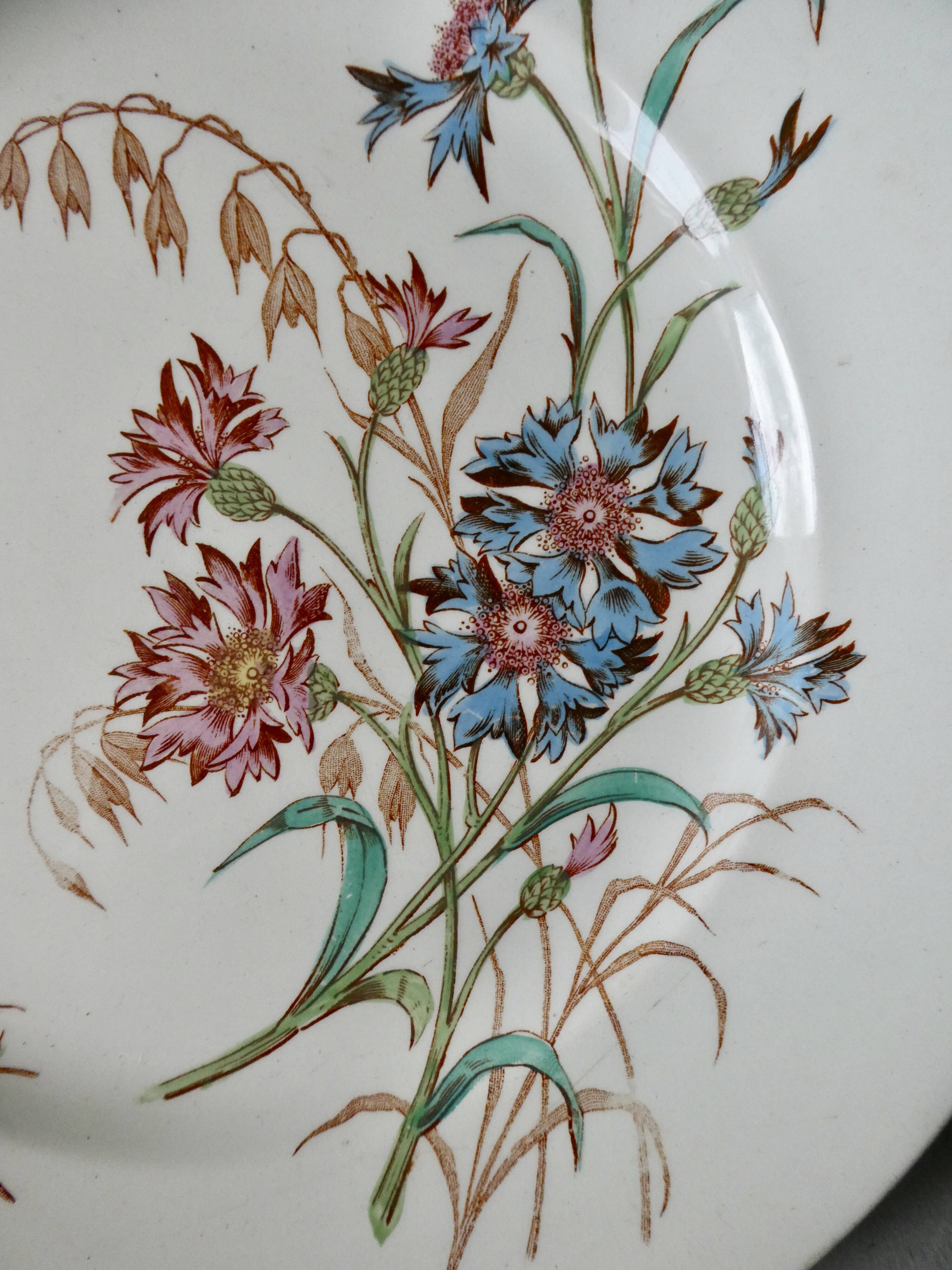 Set de 6 assiettes plates Luneville, décor bleuet, 1900