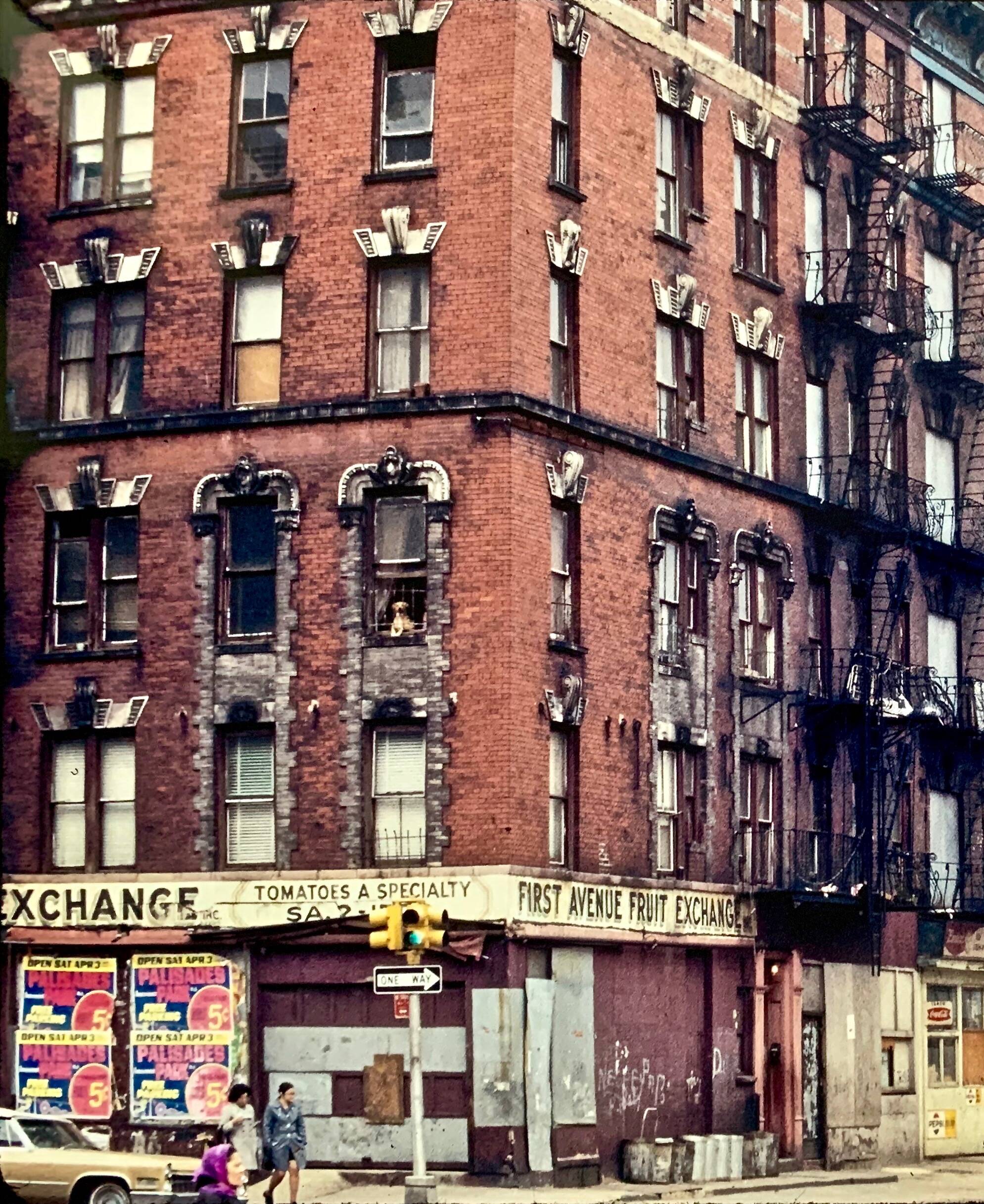 Harlem 1967 A photograph that captures the vibrant soul of New York in a moment.