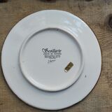 Enameled plate