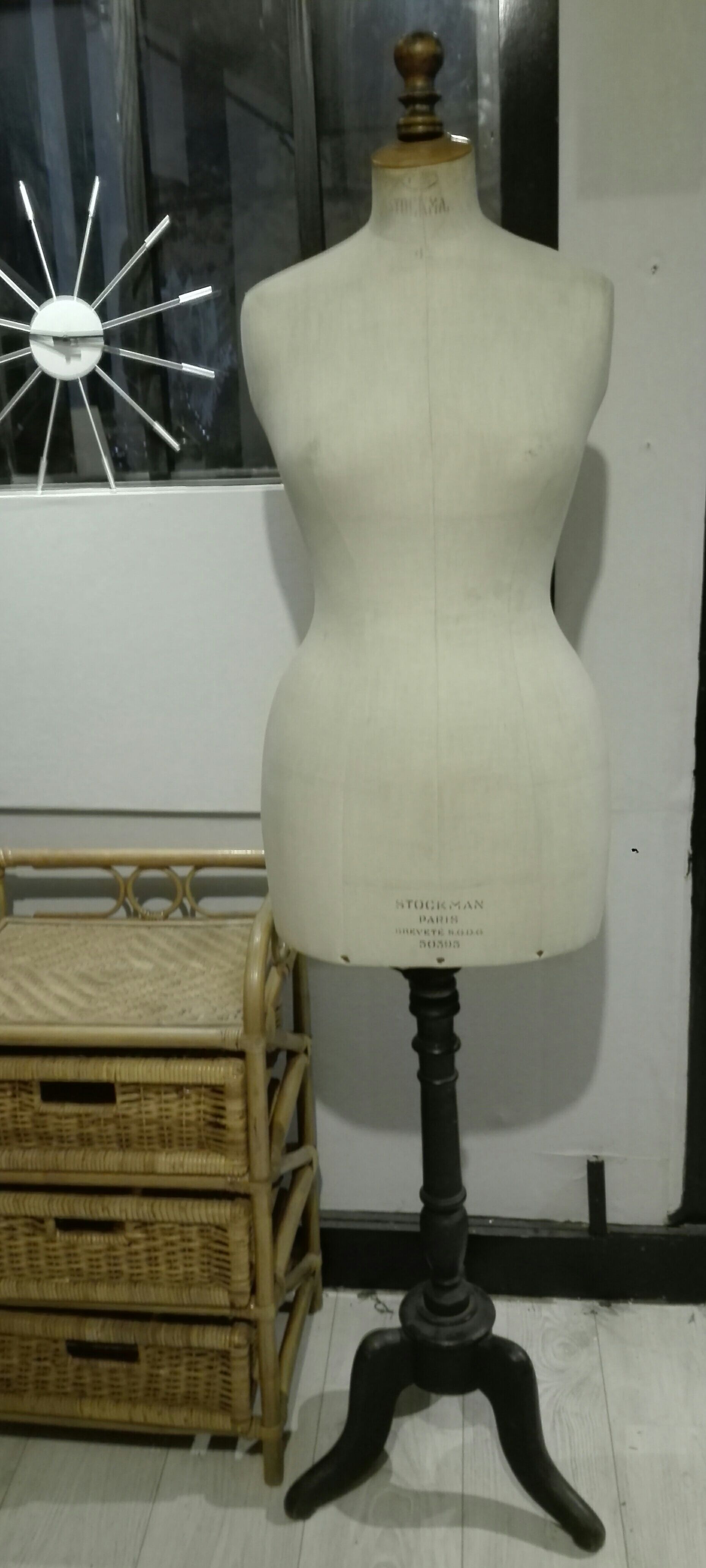 Model Stockman Siegel 42