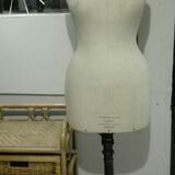 Model Stockman Siegel 42