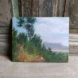 French vintage oil painting on board, signed A. Gillaz