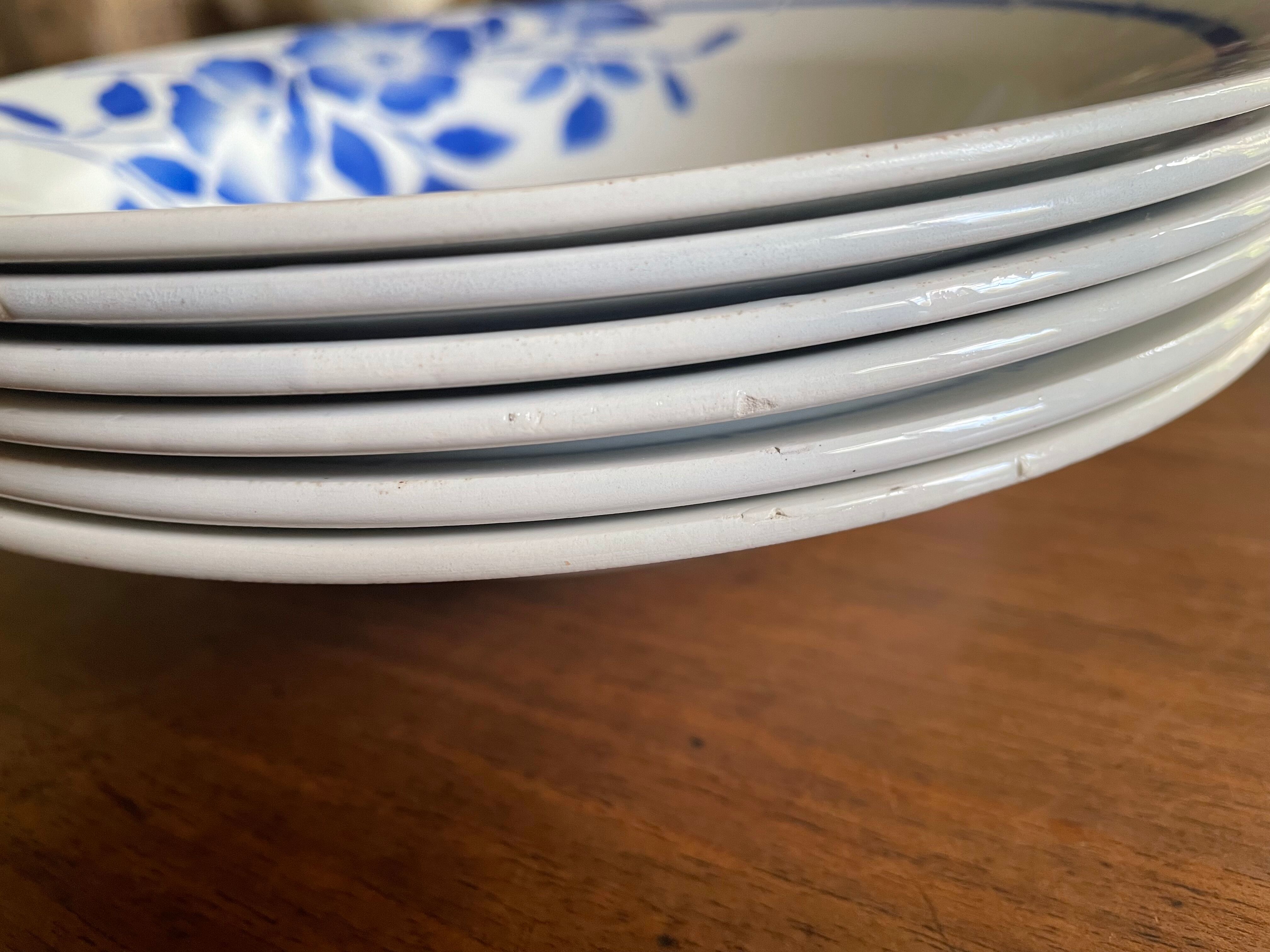 Hollow plates ceranord saint amand blue flower