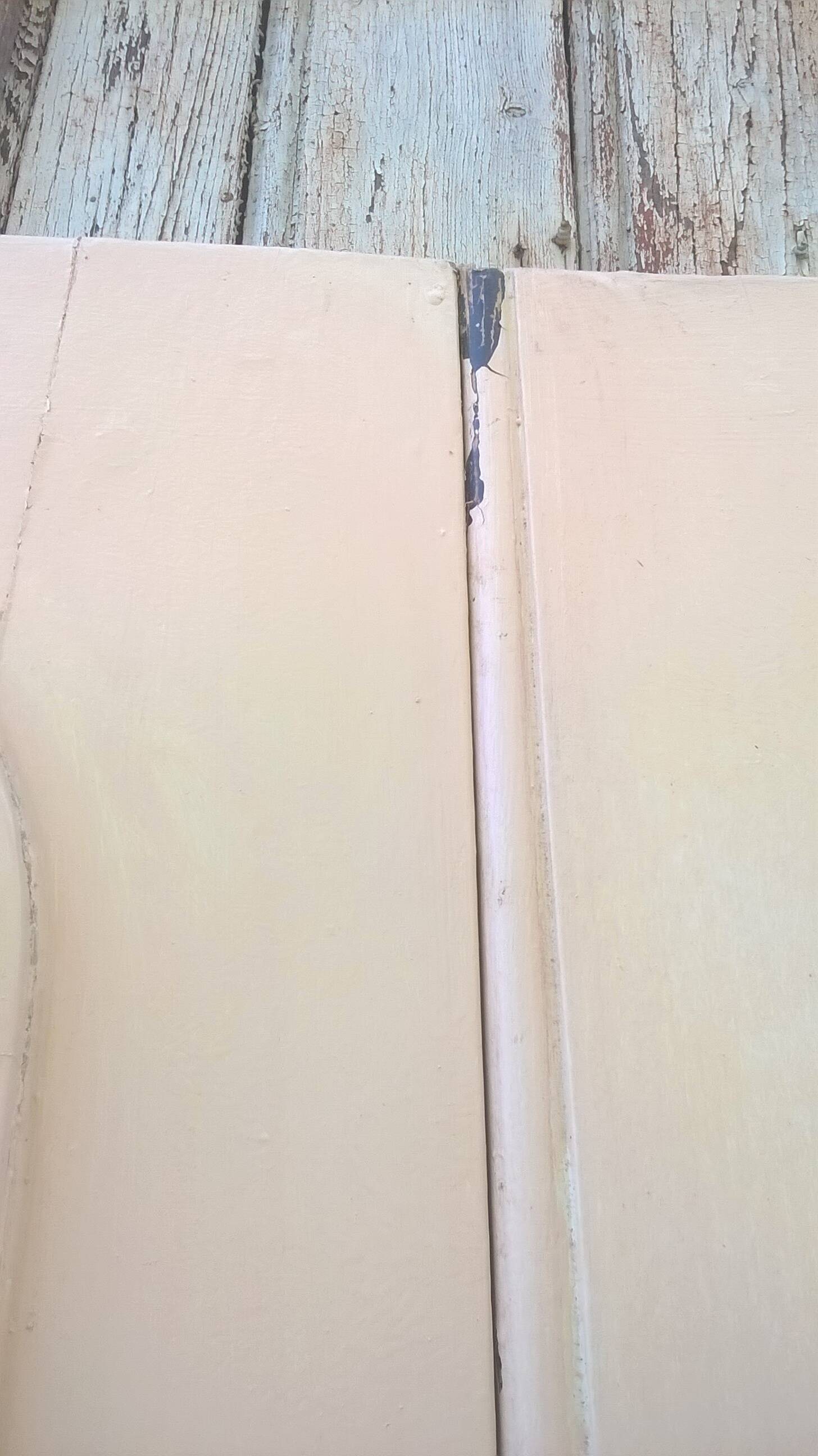 Set of large double old molded cupboard doors