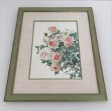 Bouquet of roses in watercolor