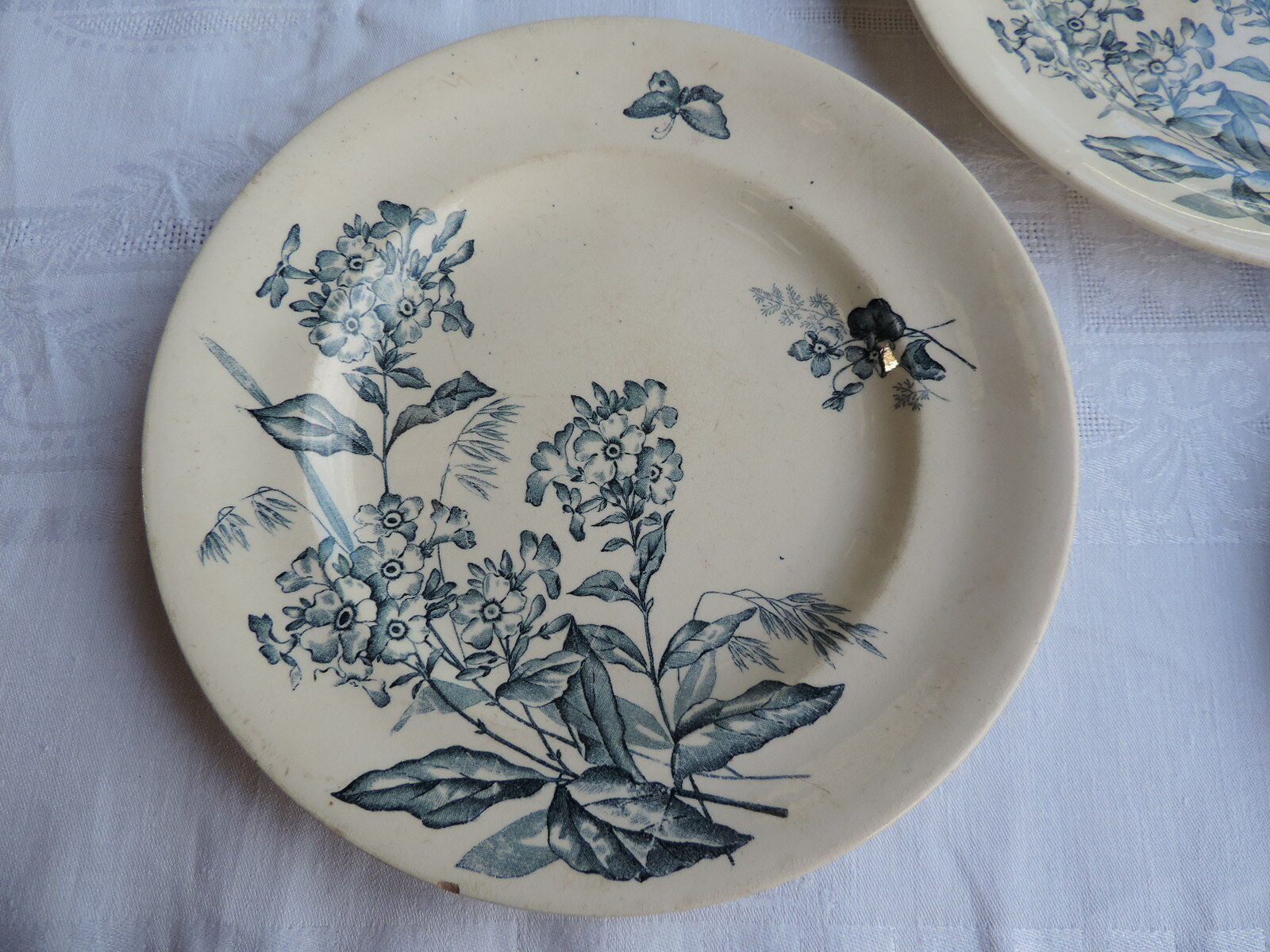 Lot de dix assiettes en Longwy , décor Botanique