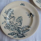 Set of ten plates in Longwy, botanical décor