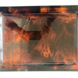 Plate of lucite scale and patinated brass