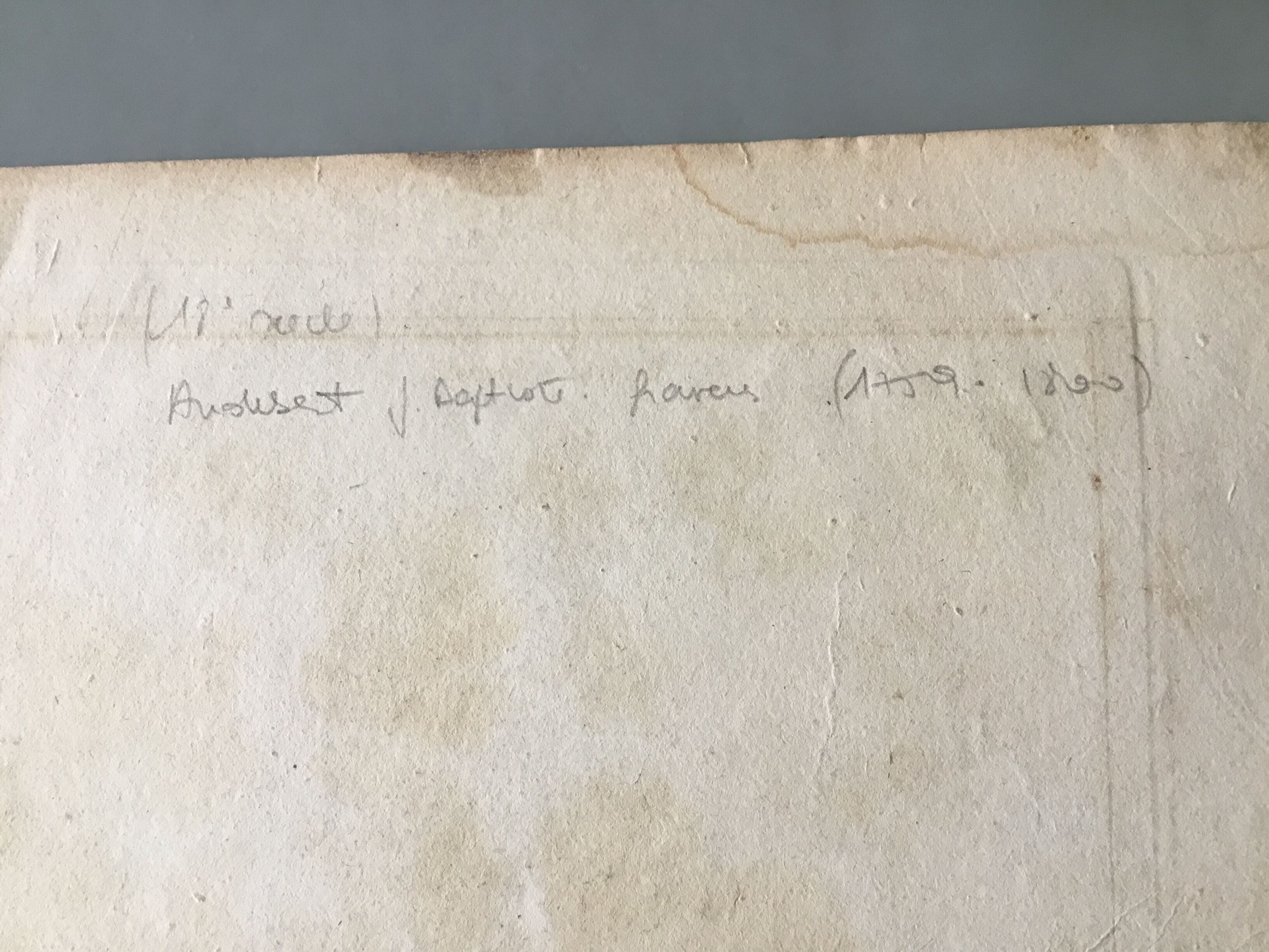 Lots of 4 old engravings, Natural History, Botany