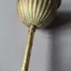 Vintage pineapple lustre