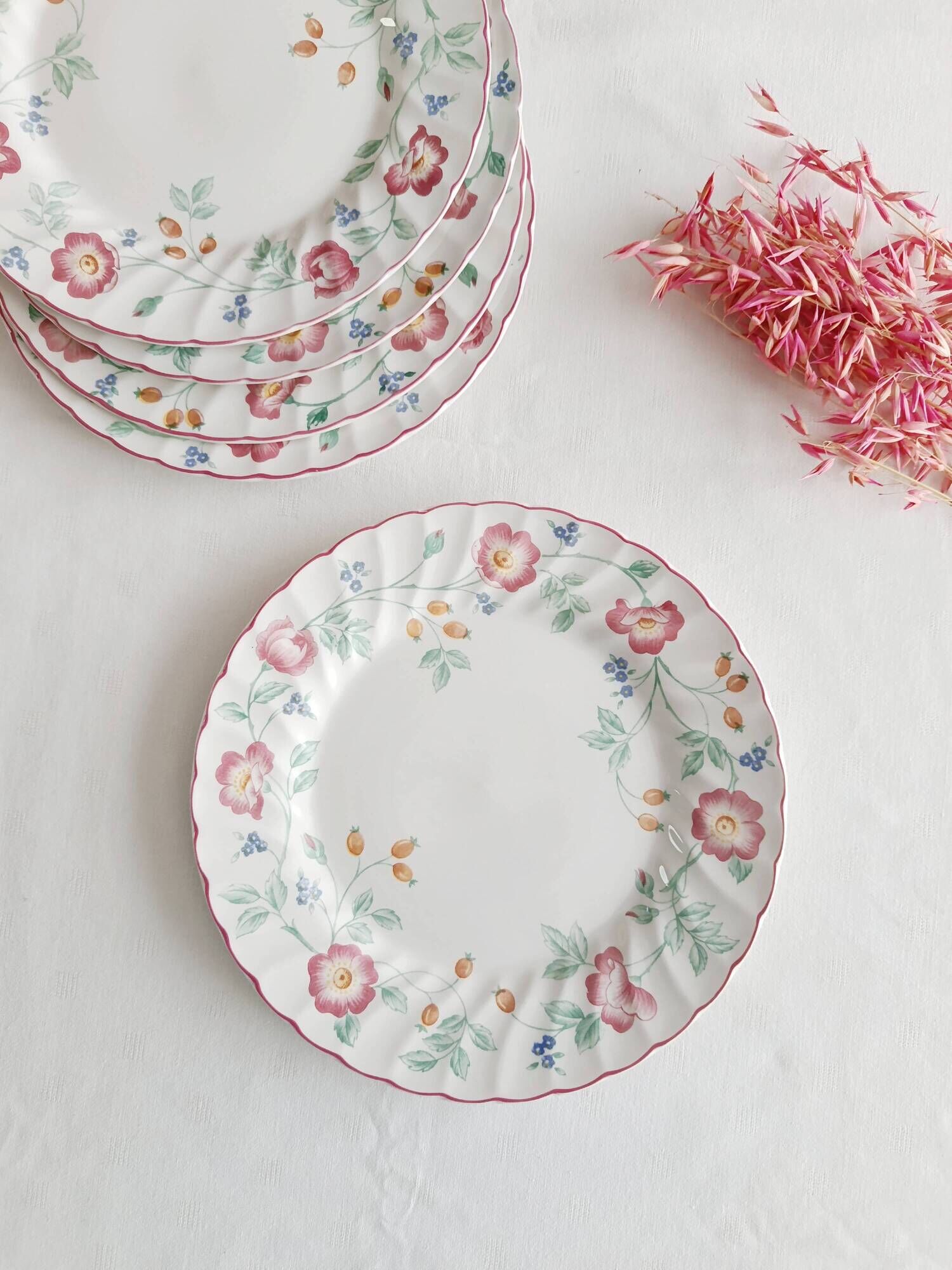 Set of 5 flat plates Churchill, Briar Rose