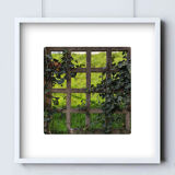 Limited edition art photo. Numbered, dated and signed by the photographer