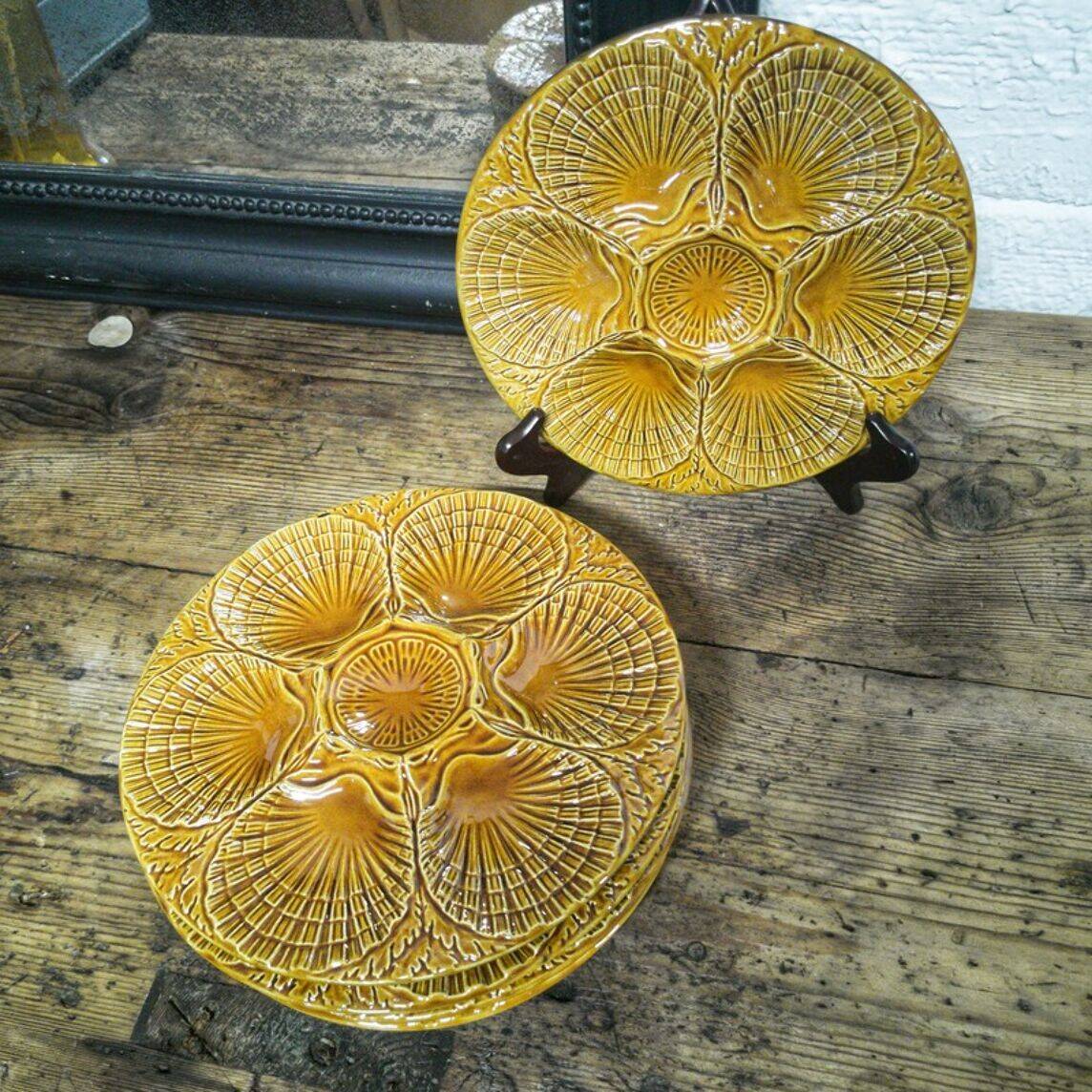 5 oyster plates in barbotine