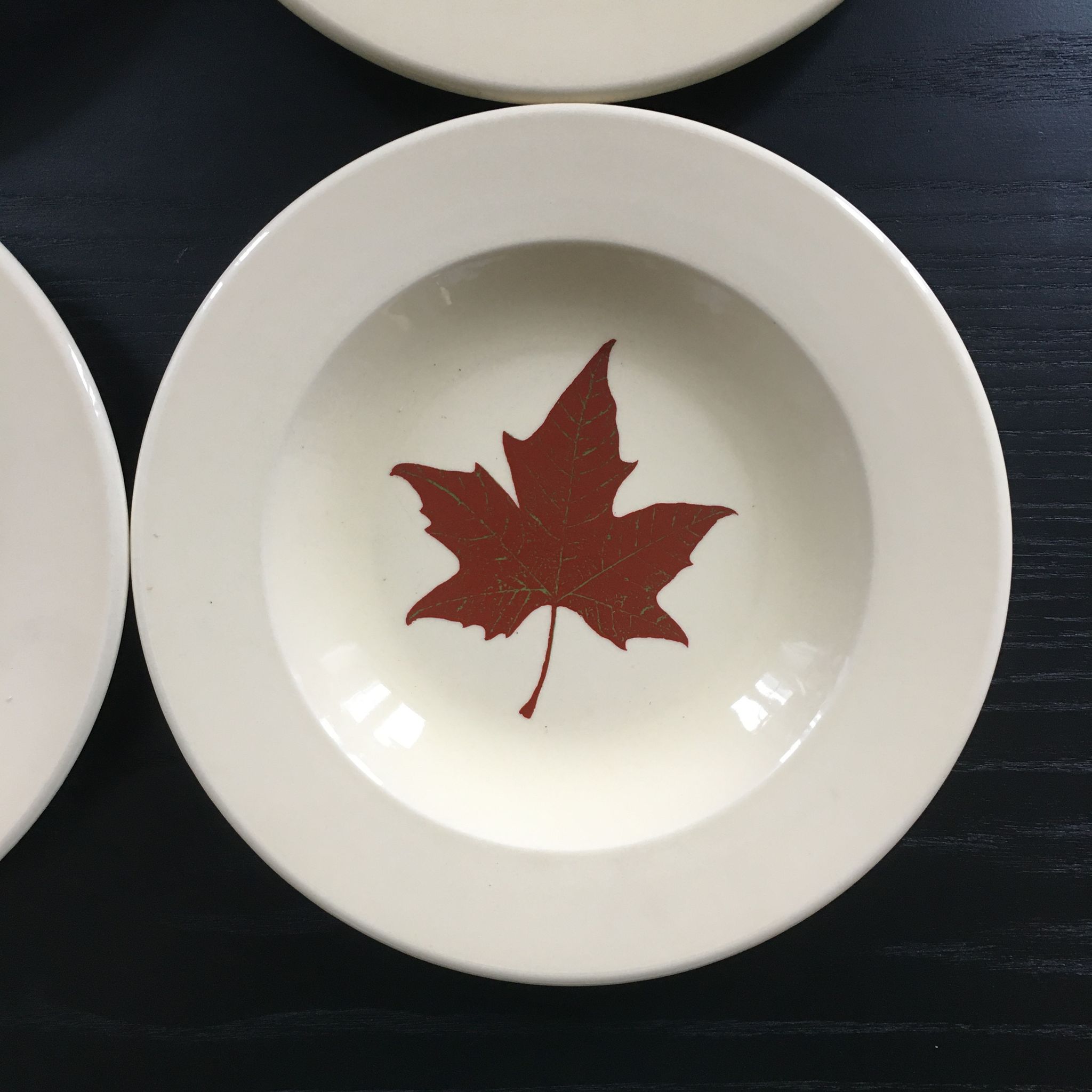 Lot 4 assiettes décor feuille