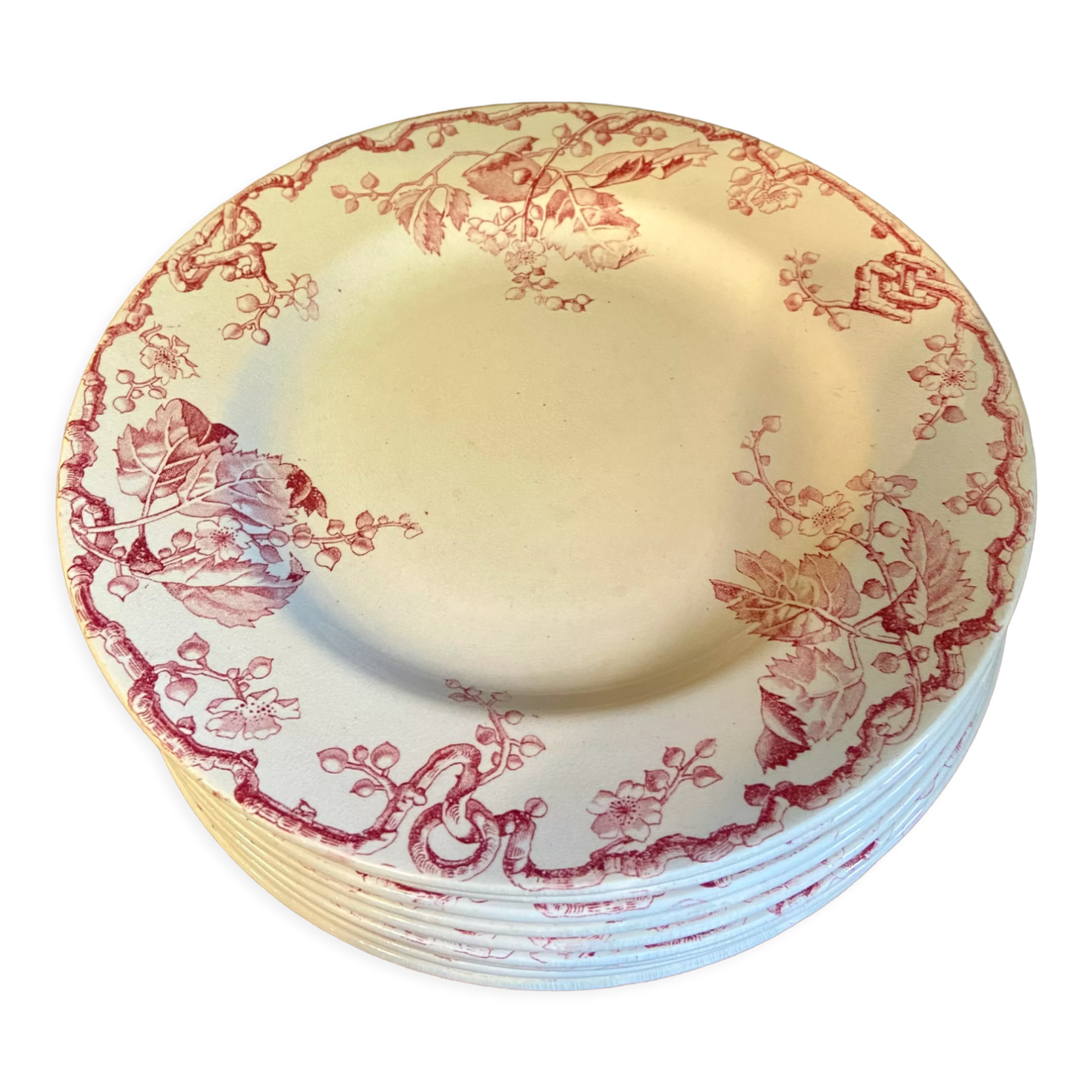 10 plates Terre de Fer Rouge