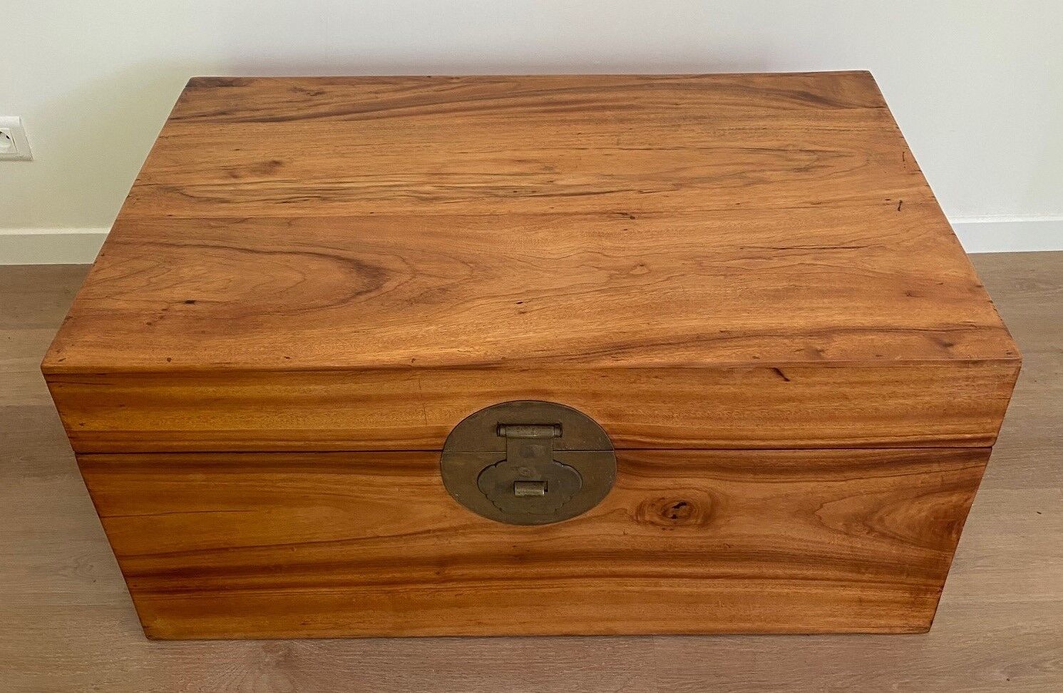 Chinese chest in camphor tree