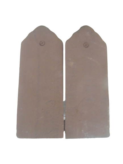 Greenhouse books cast iron decor vegetal