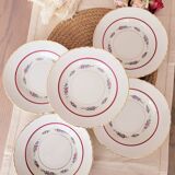 soup plates